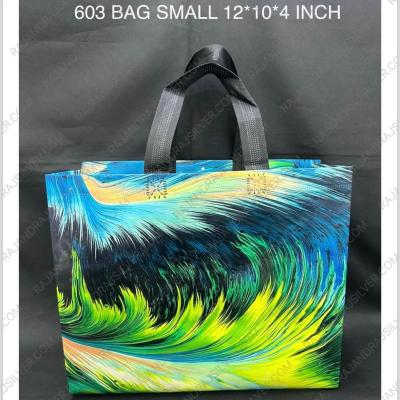 Bag Small 12*10*4 Inch Assorted Colour (603)