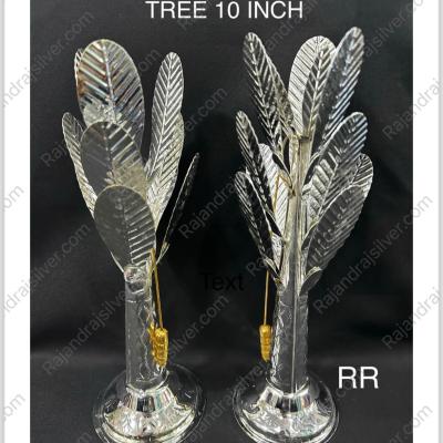 German Silver Leaf Banana Tree 10 Inch (124)
