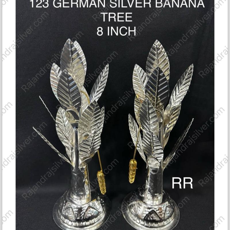 German Silver Leaf Banana Tree 8 Inch (123)