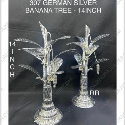 German Silver Leaf Banana Tree 14 Inch (307)